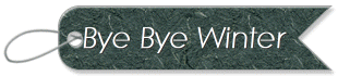 Bye Bye Winter