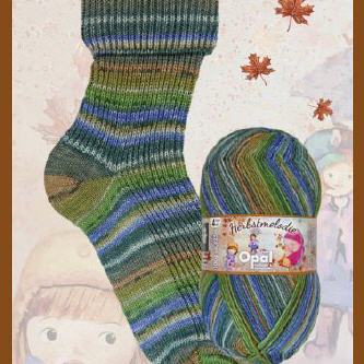 OPALHerbstmelodie 11126 Waldpilze